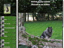 Tablet Screenshot of grijzekeeshonden.nl